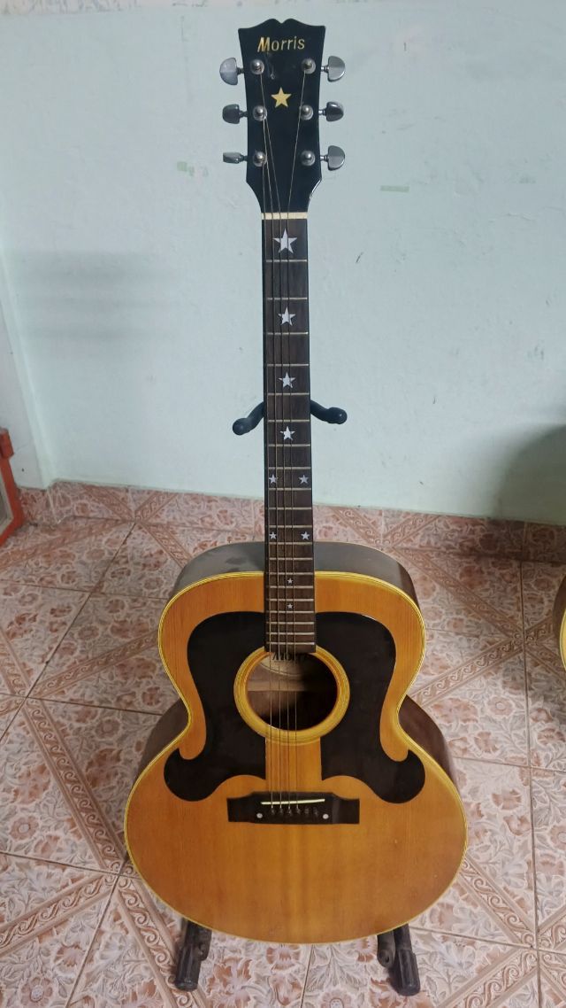 โปร่ง morris mf-251n - 104663037 - Kaidee
