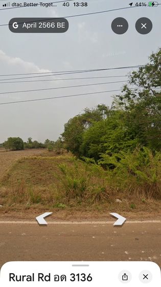 ที่ดินติดถนนลาดยาง