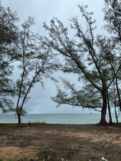 อื่นๆ ไม่มี 2024 ใช่ ขายบ้านพร้อมที่ดินติดทะเล หาดบ้านกรูด รูปที่ 2