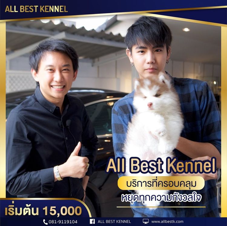 ไซบีเรียนคัดเกรดคุณภาพ จากฟาร์มไซบีเรียนที่ใหญ่ที่สุดในไทย  Allbestkennel รูปที่ 10