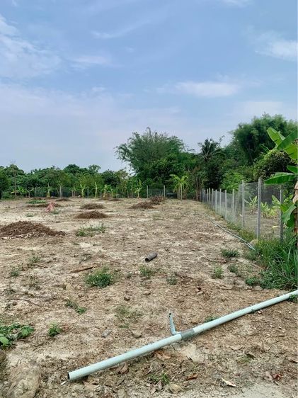 ขายที่ดินเปล่าใกล้ตัวเมืองเชียงใหม่เดินทางเพียง 30 นาที บ้านล่ามจันทร์ ต.น้ำแพร่ อ.หางดง จ.เชียงใหม่ รูปที่ 2