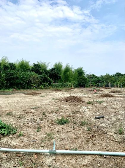 ขายที่ดินเปล่าใกล้ตัวเมืองเชียงใหม่เดินทางเพียง 30 นาที บ้านล่ามจันทร์ ต.น้ำแพร่ อ.หางดง จ.เชียงใหม่
