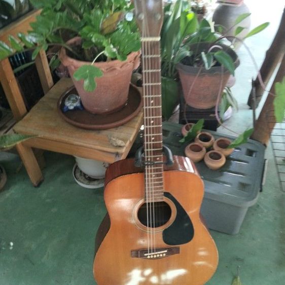 กีต้าร์โปร่งyamaha รุ่น210 เเสียงดีมากเหมาะสมสม   รูปที่ 2