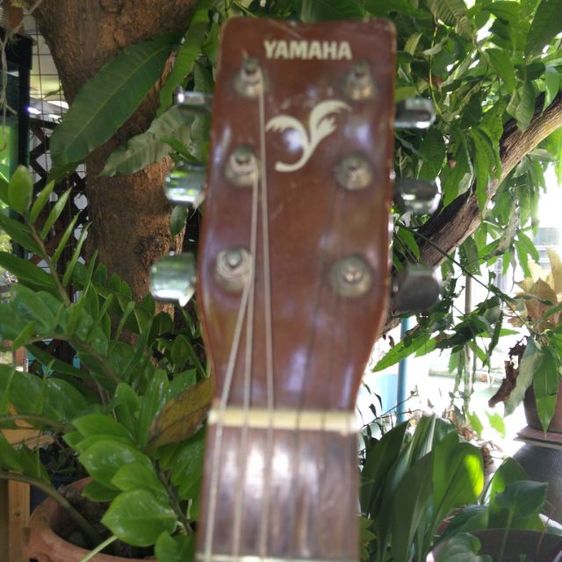 กีต้าร์โปร่งyamaha รุ่น210 เเสียงดีมากเหมาะสมสม   รูปที่ 4