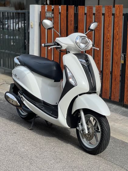 grand filano