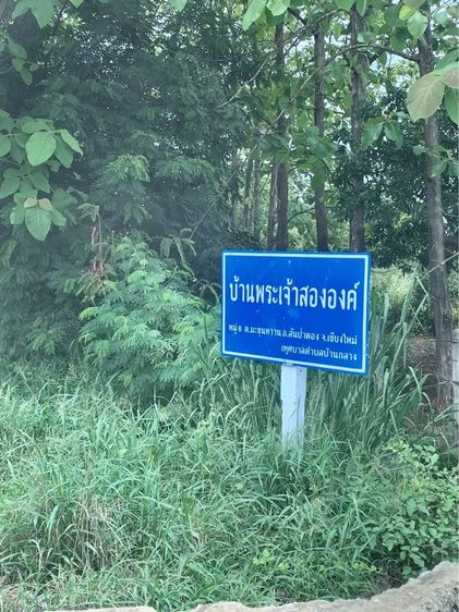 ขายที่ดินพร้อมสิ่งปลูกสร้าง บ้านพระเจ้าสององค์ ต.มะขุนหวาน อ.สันป่าตอง จ.เชียงใหม่ 