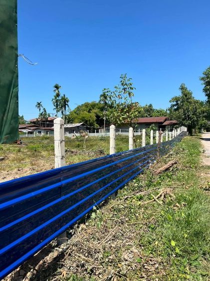 ขายที่ดินเปล่า 1 ไร่ 10 ตรว. พร้อมโฉนด ต.บ้านหนองเอี่ยน ติดถนนสมเด็จ มุกดาหาร- กรุงเทพ  รูปที่ 3