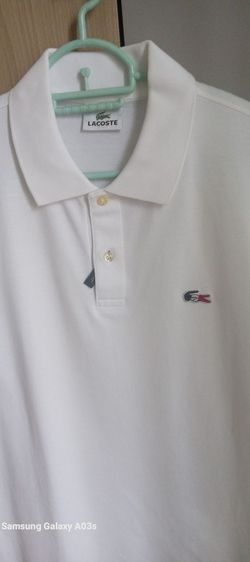 ขาว EU 40 แขนสั้น เสื้อโปโล อื่นๆ ขายเสื้อ(LACOSTE)แท้มือ2อก40นิ้วยาว26นิ้วแขนยาว9นิ้ว