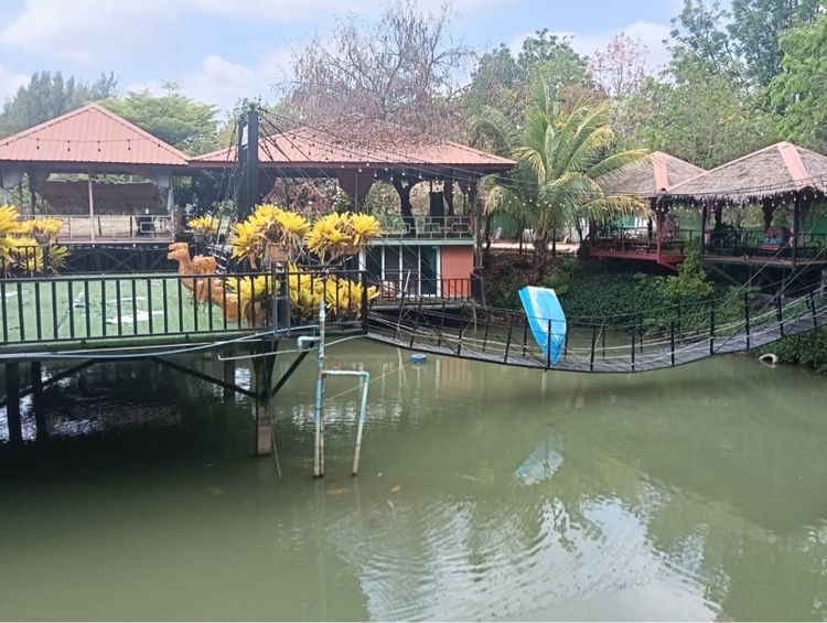 ขายที่ดิน ที่ชัยภูมิ