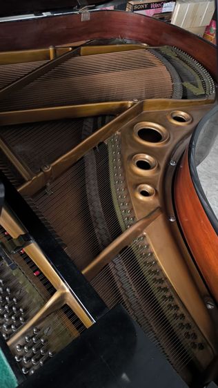 เปียโน yamaha no.20 grand piano รูปที่ 7