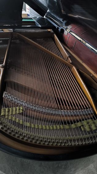 เปียโน yamaha no.20 grand piano รูปที่ 5