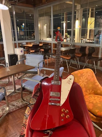 epiphone firebird korea