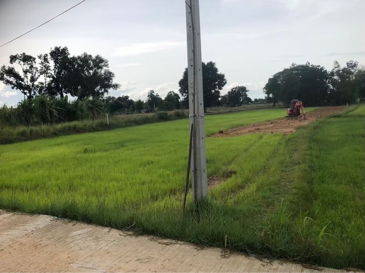 เจ้าของขายเอง ขายที่ดิน 5 ไร่กว่า ติดถนน น้ำ-ไฟ ถึง ห่างสถานีรถไฟ อำเภออุทุมพรพิสัย 5 กิโล เดินทางสะดวกมาก 