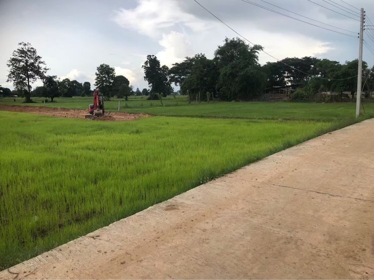 เจ้าของขายเอง ขายที่ดิน 5 ไร่กว่า ติดถนน น้ำ-ไฟ ถึง ห่างสถานีรถไฟ อำเภออุทุมพรพิสัย 5 กิโล เดินทางสะดวกมาก  รูปที่ 4