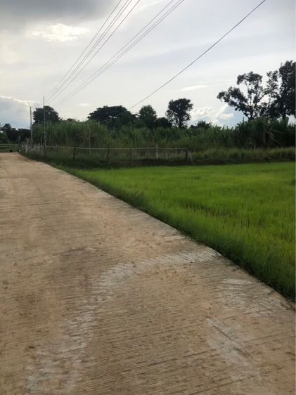 เจ้าของขายเอง ขายที่ดิน 5 ไร่กว่า ติดถนน น้ำ-ไฟ ถึง ห่างสถานีรถไฟ อำเภออุทุมพรพิสัย 5 กิโล เดินทางสะดวกมาก รูปที่ 2