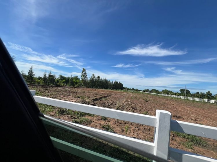 ขายที่ดินบ้านสวนเกษตร 11 ไร่น้ำดี ดินดี มีที่พร้อมบ้าน 
