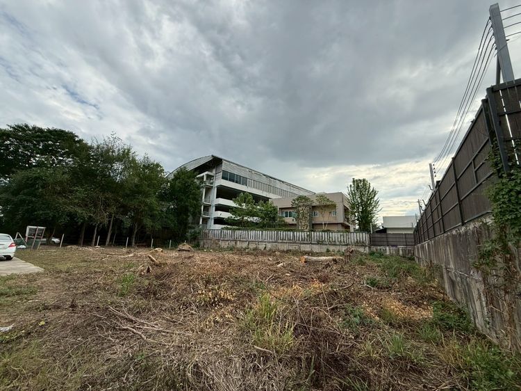 ขายที่ดิน อำเภอเมืองเชียงใหม่ ตำบลฟ้าฮ่าม 277 ตรว. (น้ำไม่ท่วม) ผังเมืองสีส้ม ใกล้แหล่งอำนวยความสะดวกมากมาย
