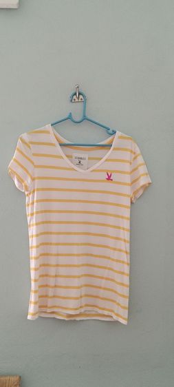 เสื้อเชิ้ต รูปที่ 3