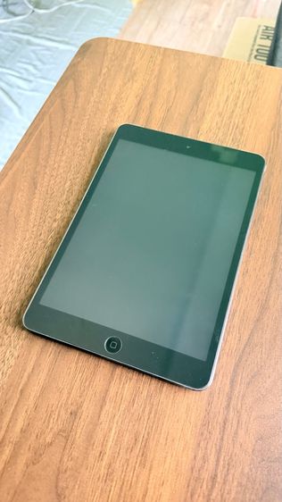 ipad mini 2