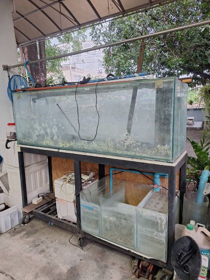 ตู้ปลาและน้ำตก รูปที่ 4