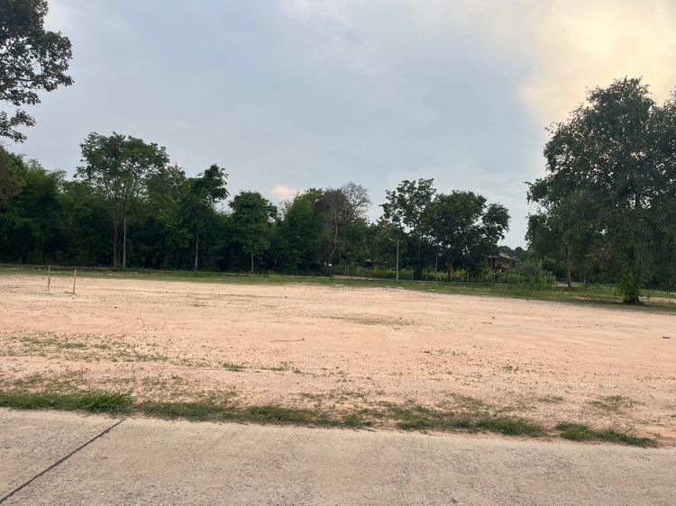 ที่ดินกบินทร์บุรี เทศบาลหนองกี่ เจ้าของขายเอง รูปที่ 3