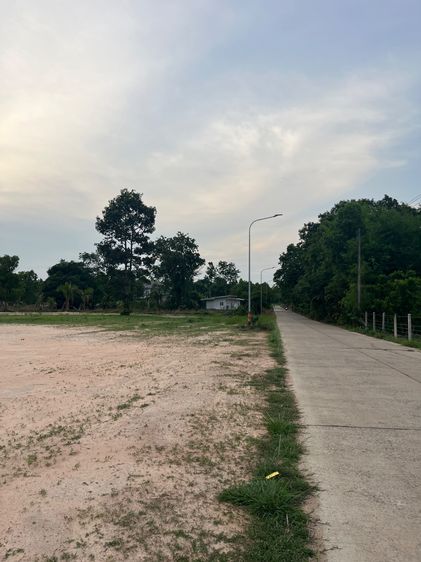 ที่ดินกบินทร์บุรี เทศบาลหนองกี่ เจ้าของขายเอง
