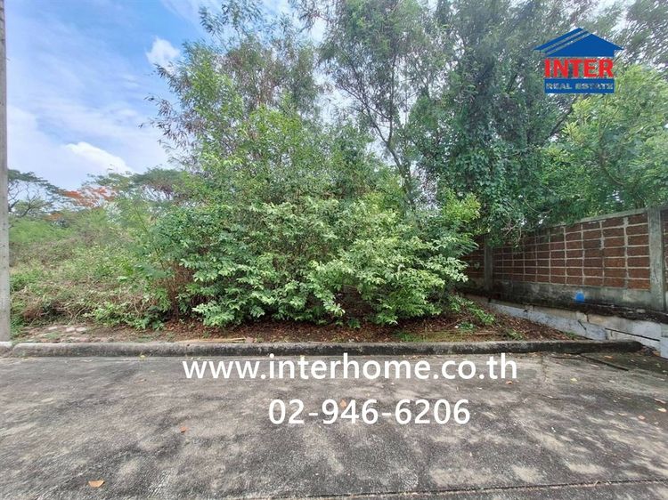 ที่ดินเปล่า 60.2 ตร.ว. หมู่บ้านชัยพฤกษ์ ซอยวัดลาดปลาดุก ถนนกาญจนาภิเษก ถนนรัตนาธิเบศร์ บางบัวทอง นนทบุรี รูปที่ 2