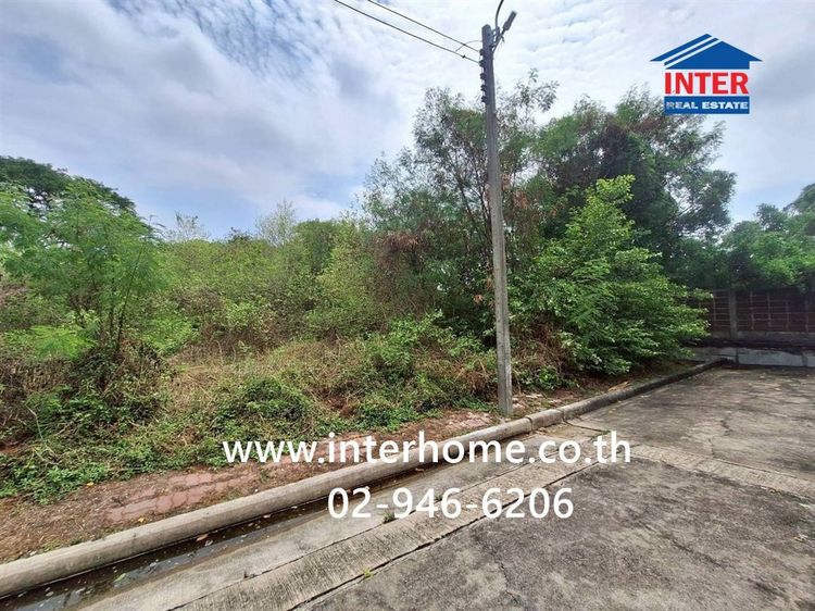 ที่ดินเปล่า 60.2 ตร.ว. หมู่บ้านชัยพฤกษ์ บางบัวทอง ซอยหมู่บ้านชัยพฤกษ์42-4 ถนนกาญจนาภิเษก ถนนรัตนาธิเบศร์ บางบัวทอง นนทบุรี