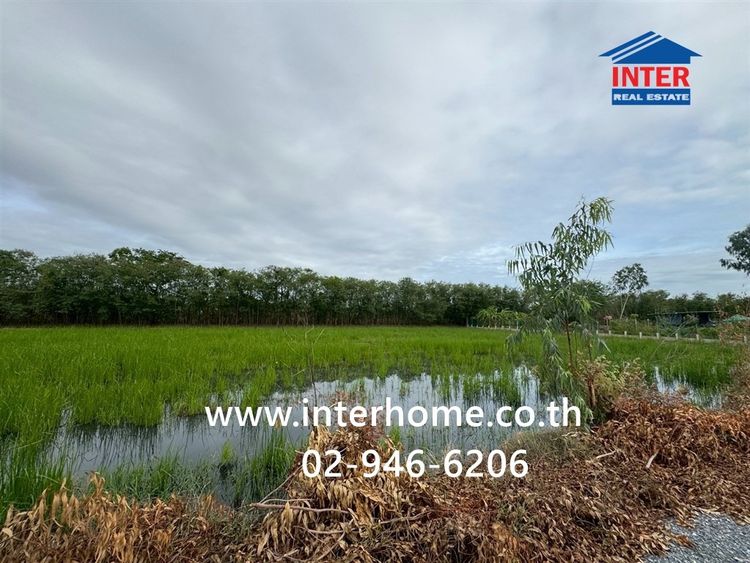 ที่ดินเปล่า 113.5 ตร.ว. ที่ดินเปล่า ซอยศรีกมล ถนนพุทธมณฑลสาย4 ถนนสหพร เมืองนครปฐม นครปฐม รูปที่ 3