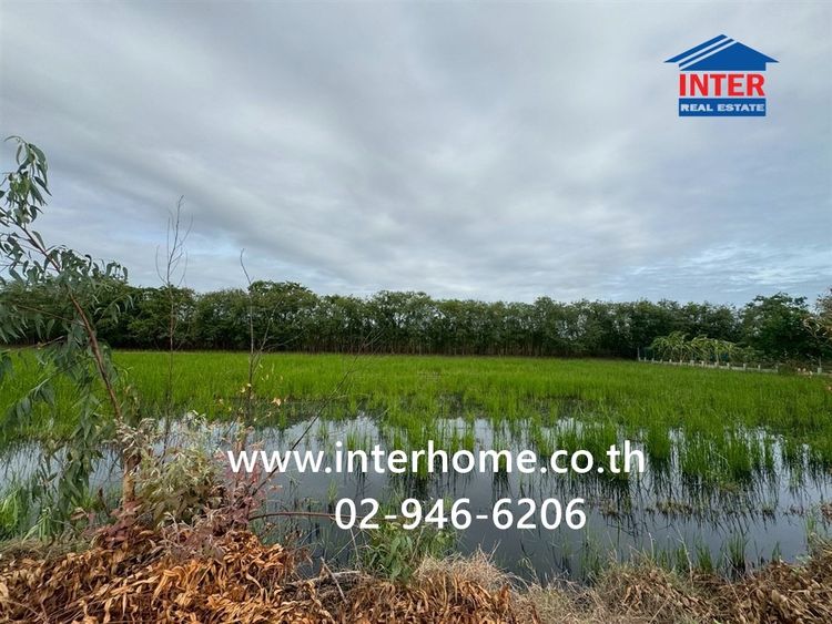 ที่ดินเปล่า 113.5 ตร.ว. ที่ดินเปล่า ซอยศรีกมล ถนนพุทธมณฑลสาย4 ถนนสหพร เมืองนครปฐม นครปฐม รูปที่ 4