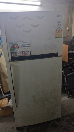 ตู้เย็น 2 ประตู ตู้เย็น LG 17.9 คิว