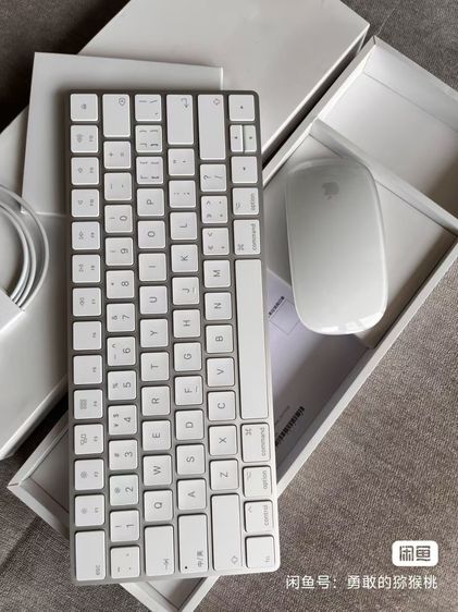 Apple Keyboard and Mouse Set