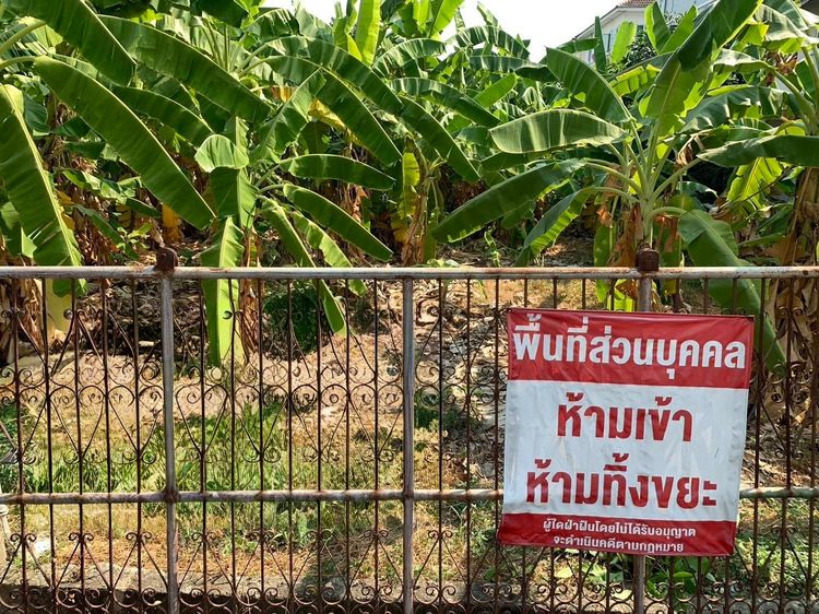ขายที่ดินปุณณวิถี20 สุขุมวิท101 เดินไป BTS 850 เมตร ที่ดิน Punnawithi 136 ตร.ว ใกล้รถไฟฟ้าบีทีเอส ใกล้ห้างทรูดิจิตอล Cloud11 BangkokMall ซีค รูปที่ 2