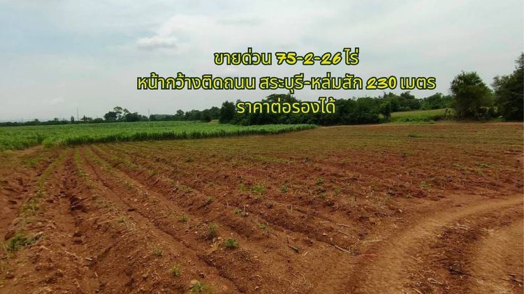 ขายที่ดินทำเลศักยภาพ อำเภอวิเชียรบุรี จังหวัดเพชรบูรณ์ ติดถนนไฮเวย์สาย 21 สระบุรี–หล่มสัก หน้ากว้างกว่า 230 เมตร รูปที่ 2