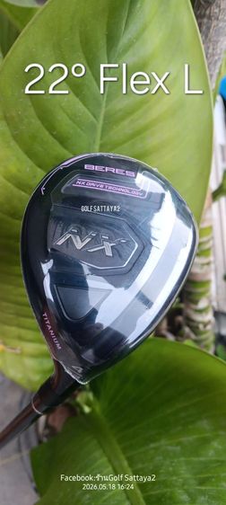 Utility 4 HONMA BERES NX 