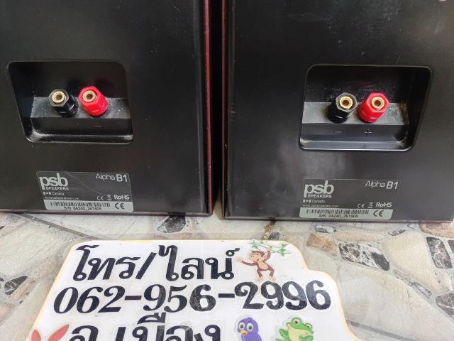 ลำโพงแคนาดาเสียงดีครับจาก PSB รูปที่ 9
