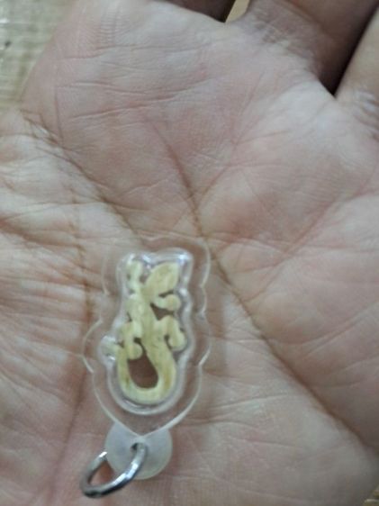 ของสะสม รูปที่ 2