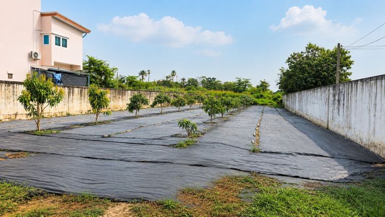 ขายที่ดิน 1 ไร่ ถนนเลียบคลองปทุม ทวีวัฒนา ทำเลดี ใกล้ตลาดเวิลด์มาร์เก็ต รูปที่ 4