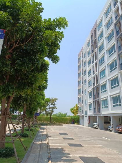 ขาย ให้เช่า dream park condo ชั้น 7 ห้องมุม พร้อมอยู่