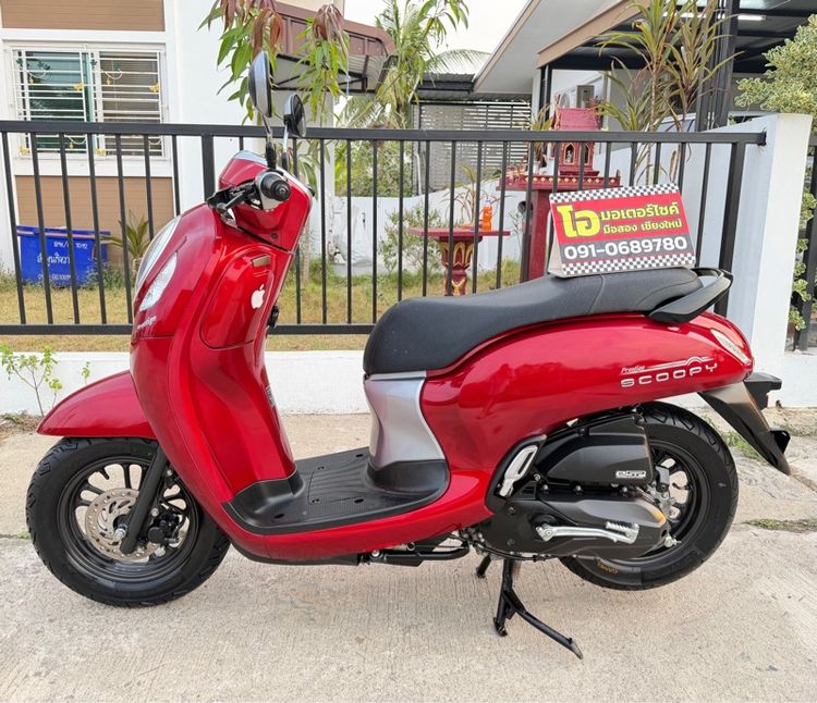 Honda Scoopy