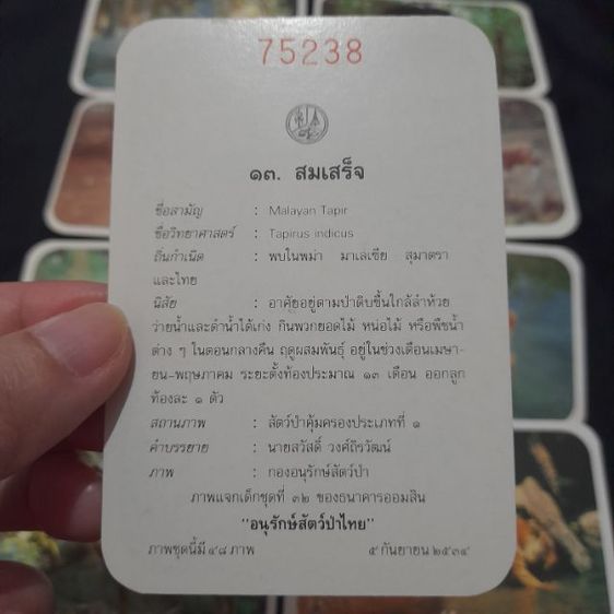 การ์ดออมสิน 36 ใบ รูปที่ 5