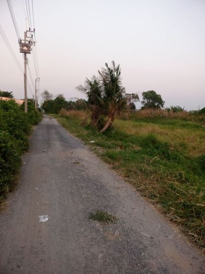 ที่ดินเขตมีนบุรี ถนนบึงขวาง
