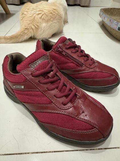 รองเท้าผ้าใบ แดง ผ้าใบ UK 4.5 | EU 37 1/3 | US 6 อื่นๆ Spalding size 37