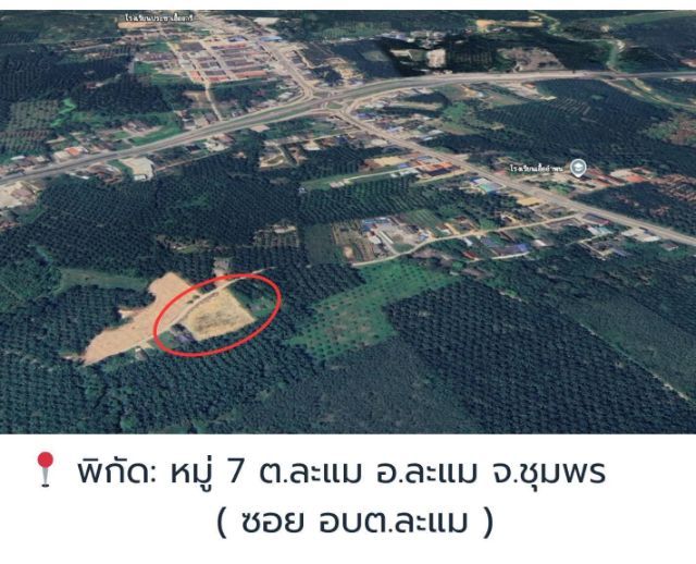ขายที่ดิน เขตอำเภอละแม จังหวัดชุมพร