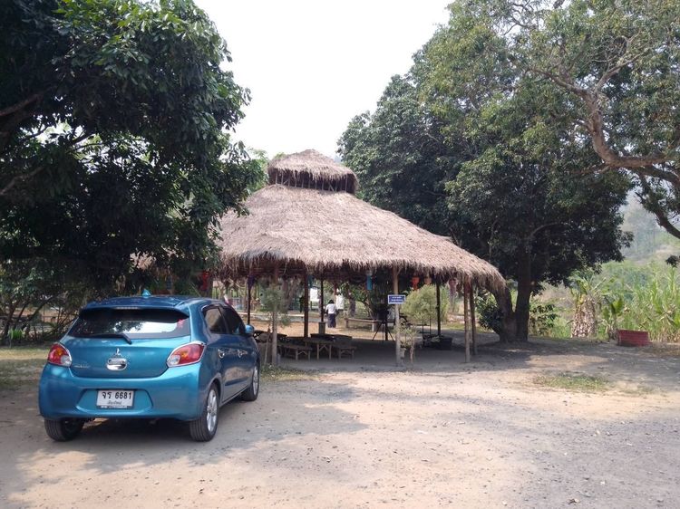 ที่ดินปางช้าง แม่แตง เชียงใหม่  Smart elephant family  รูปที่ 3