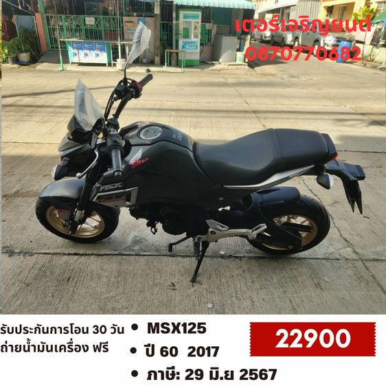 Honda 2017 🛵ยังไงก็ขาย MSX125 ปี 60 เครื่องดี สีสวย สตาร์ทมือ เบรคABS รถบ้านพร้อมใช้งาน เปลี่ยนน้ำมันเครื่องฟรี ส่งฟรี30กิโล