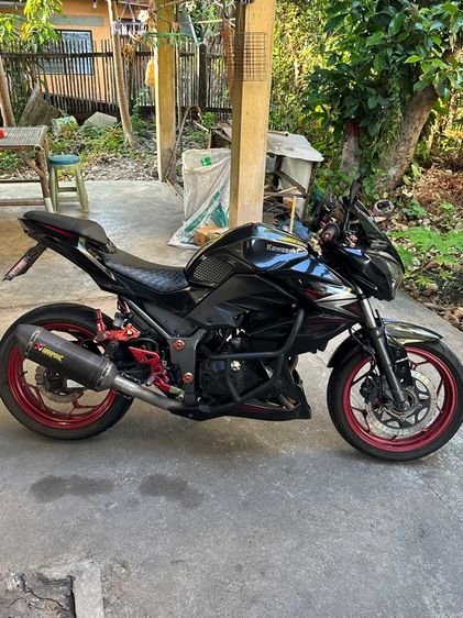 ยี่ห้ออื่น รุ่นอื่นๆ 2016 Kawasaki z300