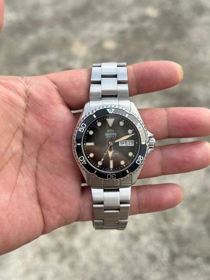 orient kamasu