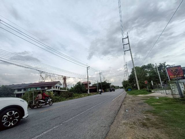 ใช่ ขายด่วนที่ดิน อ.เมืองปทุม วัดเสด็จ สวรพริกไทย