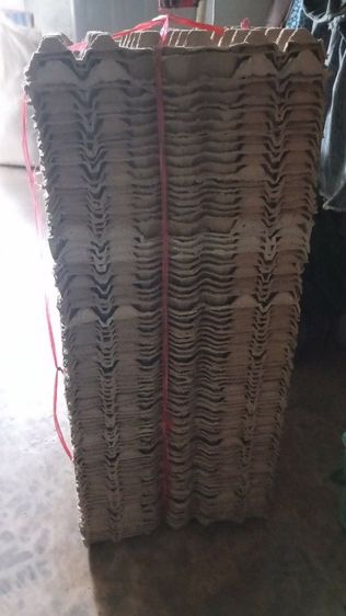 แผงไข่